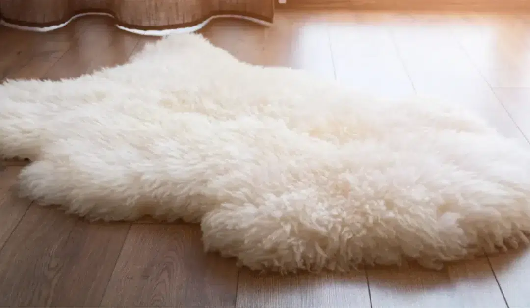 What is the Best Way to Clean Wool Carpet Without Damaging It