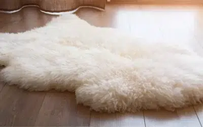 What is the Best Way to Clean Wool Carpet Without Damaging It