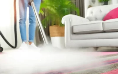 Can Carpet Cleaning Kill Fleas?