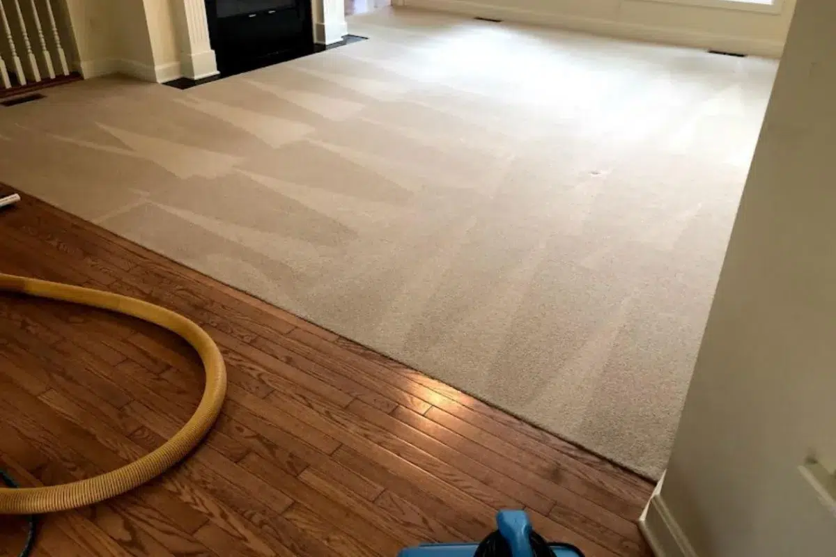 carpet cleaning Burleson