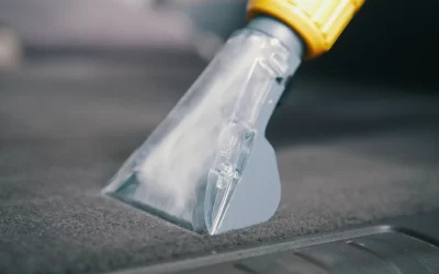 Professional Carpet Cleaning in Dallas, Texas: What You Need to Know